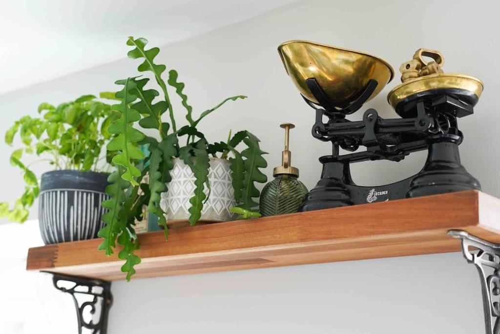 *Stunning* The Botanist Rest Ventnor Iow 빌라 외부 사진